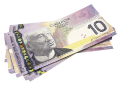 Canadian 10 Dollar Bill